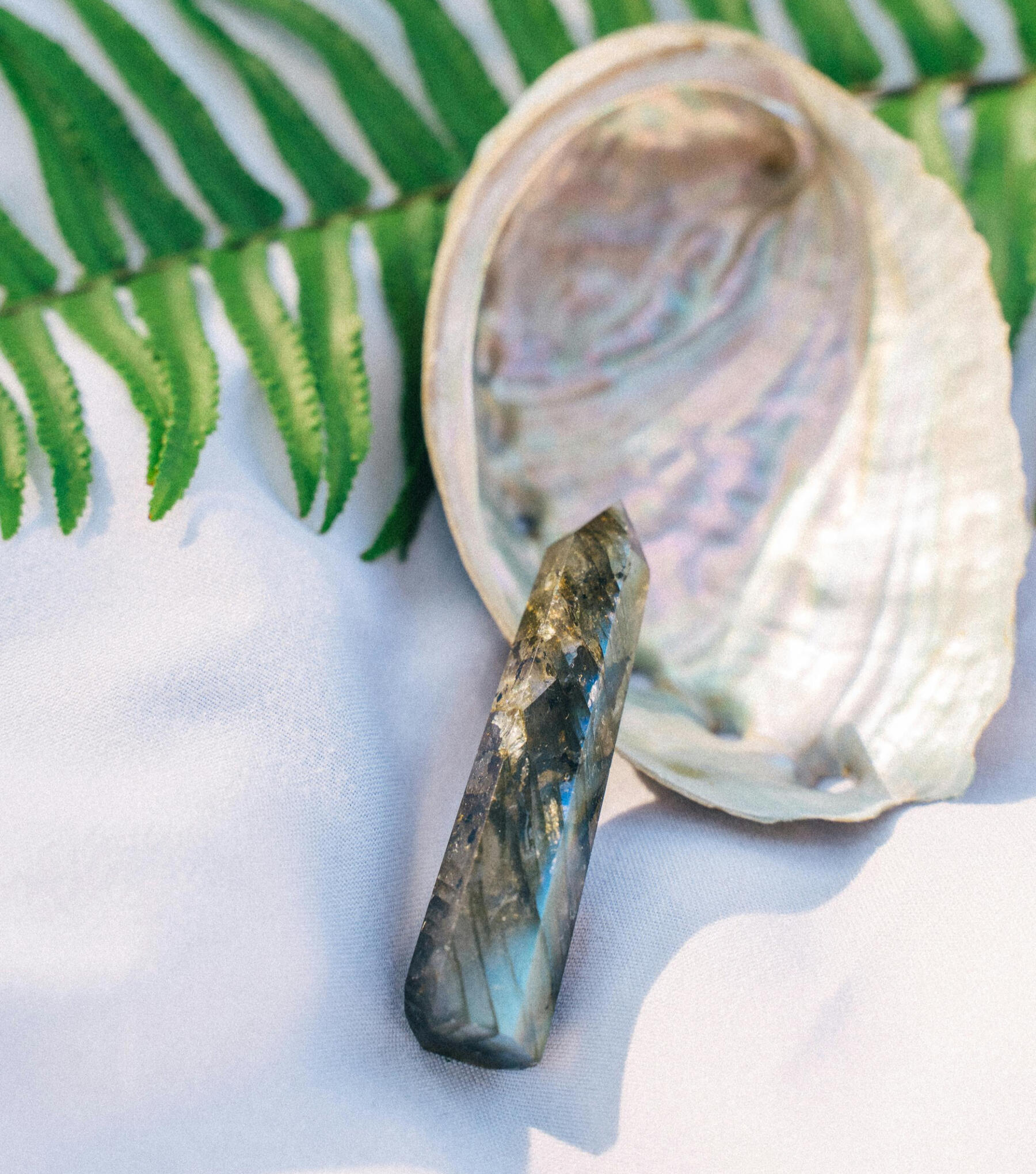 Journey into crystals This is a photo of a Labradorite crystal wand with a large abalone shell
